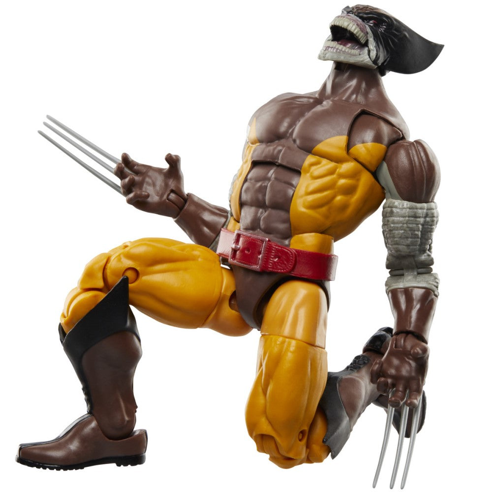 Pack De Figuras Wolverine & Lilandra - Wolverine 50 Years Marvel Legends Hasbro
