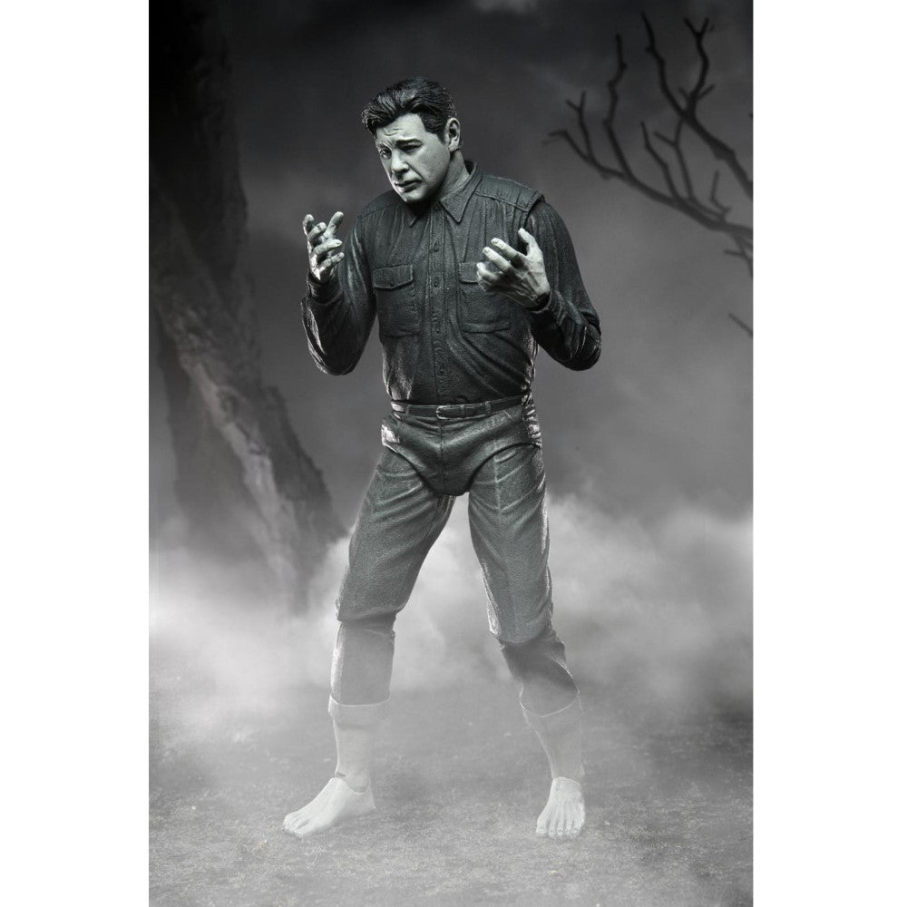 Figura Wolf Man Ultimate (B&W) - The Mummy Universal Monster Neca