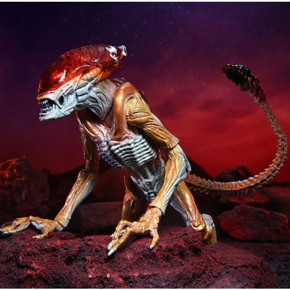 Figura Pnther Alien Ultimate - Kenner Tribute Aliens Neca