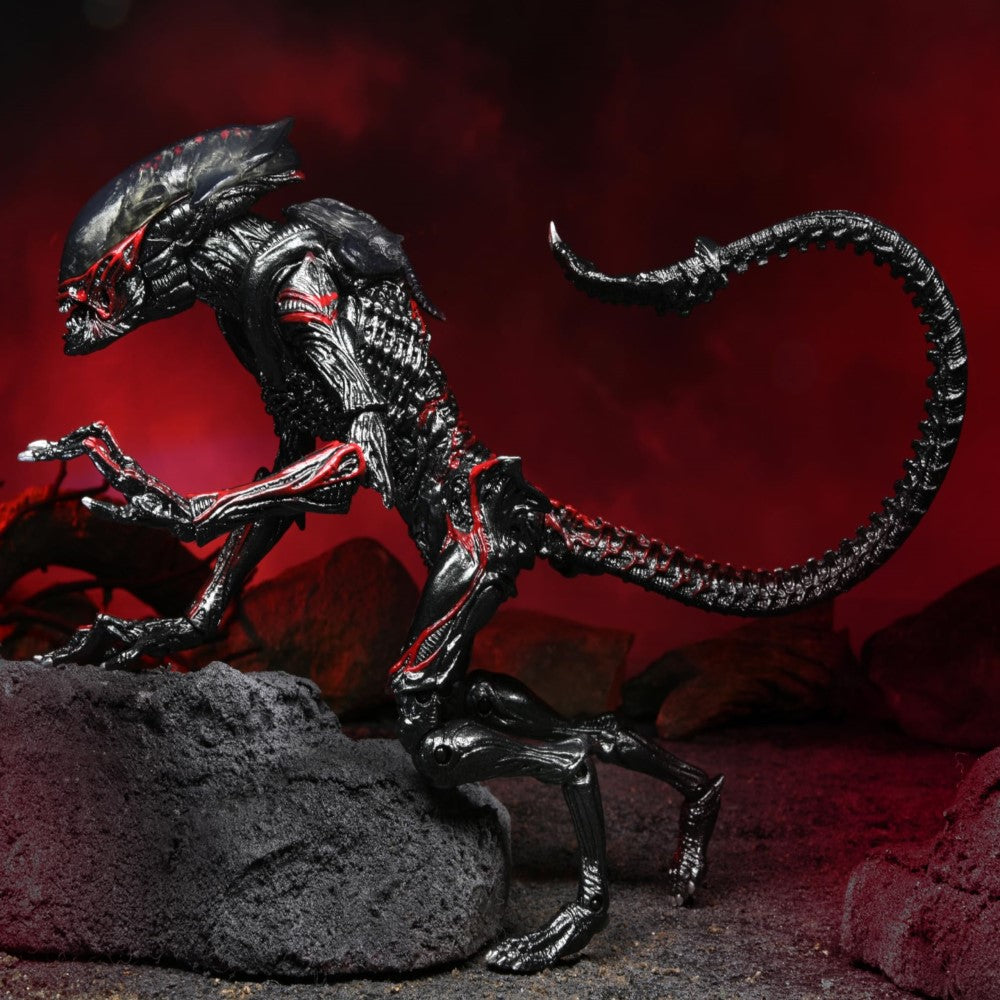 Figura Night Cougar Alien Ultimate - Kenner Tribute Aliens Neca