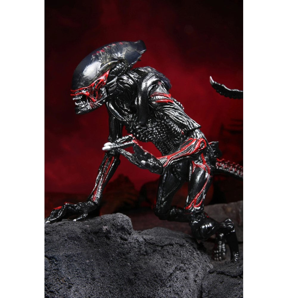 Figura Night Cougar Alien Ultimate - Kenner Tribute Aliens Neca