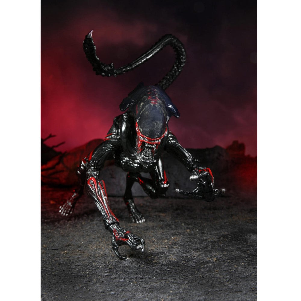 Figura Night Cougar Alien Ultimate - Kenner Tribute Aliens Neca